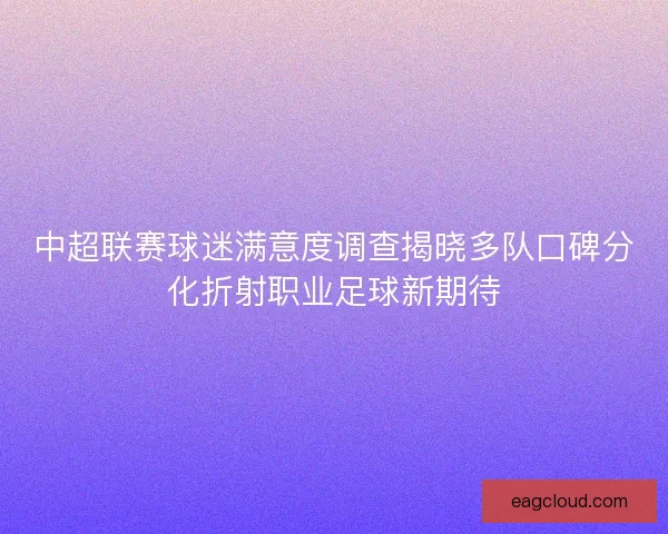 中超联赛球迷满意度调查揭晓多队口碑分化折射职业足球新期待